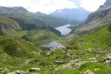 Incontro al passo d'Arbola