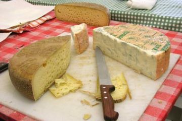 Festa degli Alpini