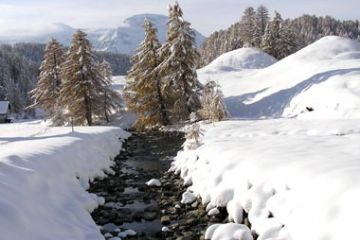 Zona Salvaguardia - Loc. Crampiolo Paesaggio Invernale (Ft. A.Svinzov)