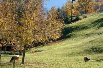 Frazione Croveo - Prati