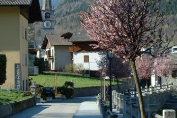 Centro del Paese - Viale