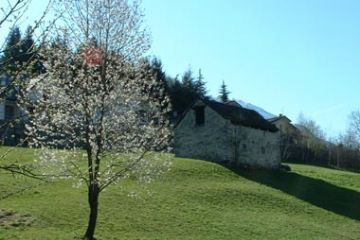 Paesaggio - Verde Cittadino