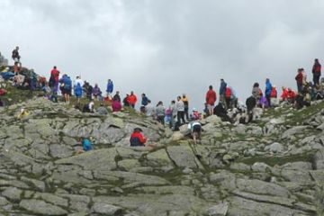 Incontro al passo d'Arbola
