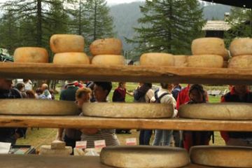 Festa in Val Buscagna e Musica in Quota