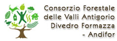 Consorzio Forestale delle Valli Antigorio Divedro Formazza - Andifor